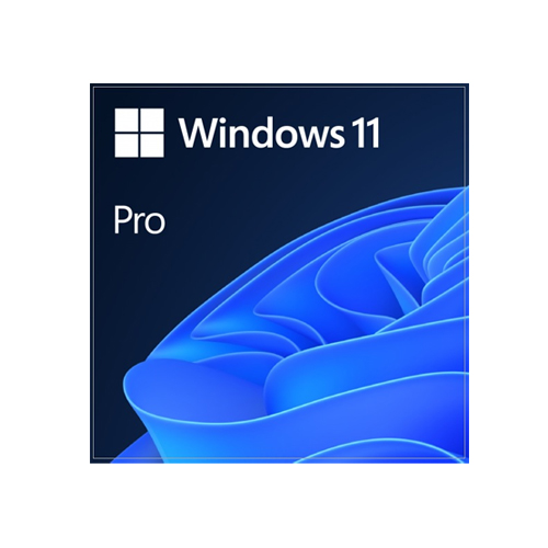 [마이크로소프트] Windows 11 Pro (DSP 64bit 한글)